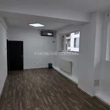 Cismigiu, Popa Tatu